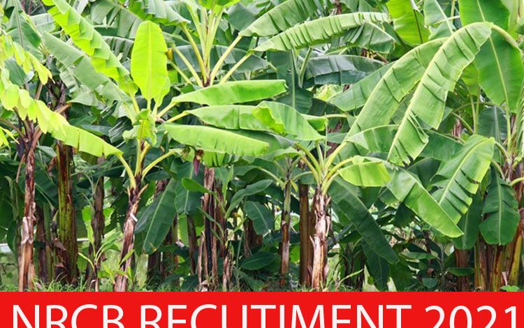 NRCB Recruitment 2021