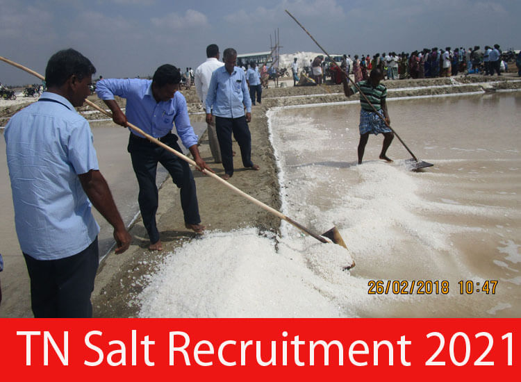 TN Salt Recruitment 2021