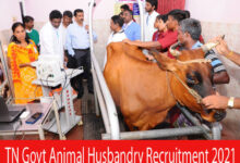 Photo of TN Govt Animal Husbandry Recruitment 2021 | Various Animal Husbandry Worker Posts | Apply Online